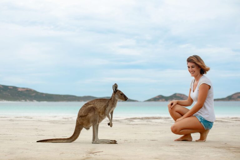 Kangaroo at Lucky Bay - Wild kangaroos on pristine white sand beaches in Western Australia