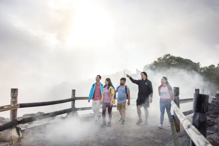 Rotorua Geothermal Wonderland - Steam rises from the colorful pools at Wai-O-Tapu