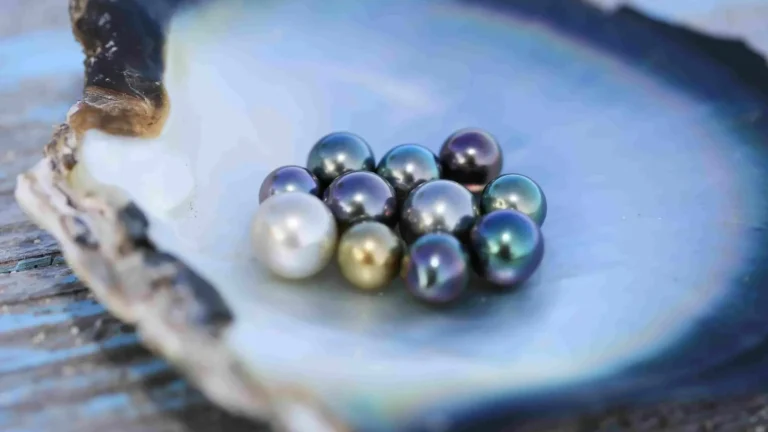 Black Pearl Farm - Skilled artisans demonstrate pearl cultivation in traditional wooden structures over crystal waters