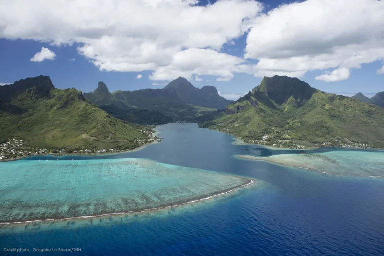 Moorea's Opunohu Bay - Dramatic volcanic peaks embrace a perfect horseshoe bay, showcasing French Polynesia's most iconic vista